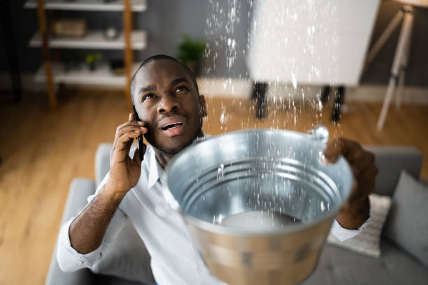 Best Professional water damage repair  in Longtown, OK