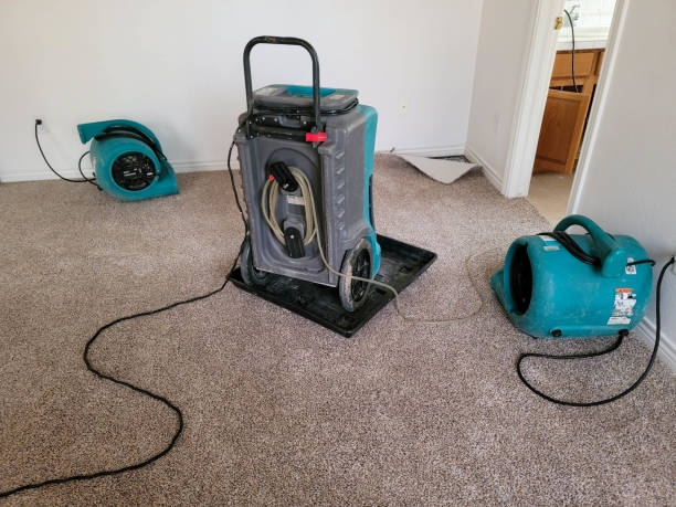 Best Water damage restoration experts  in Longtown, OK