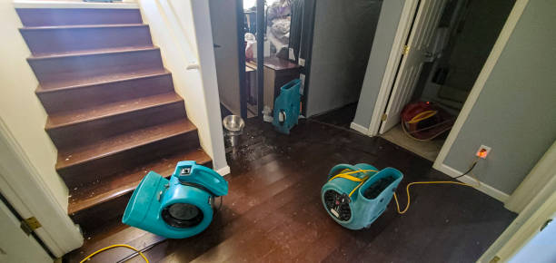 Best 24/7 water damage repair  in Longtown, OK