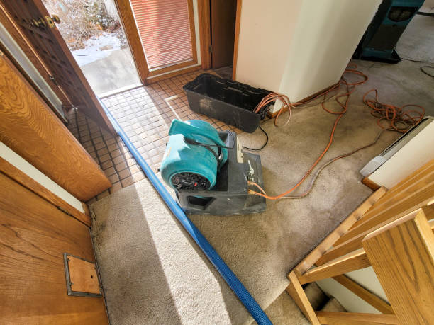 Carpet water damage restoration in Longtown, OK