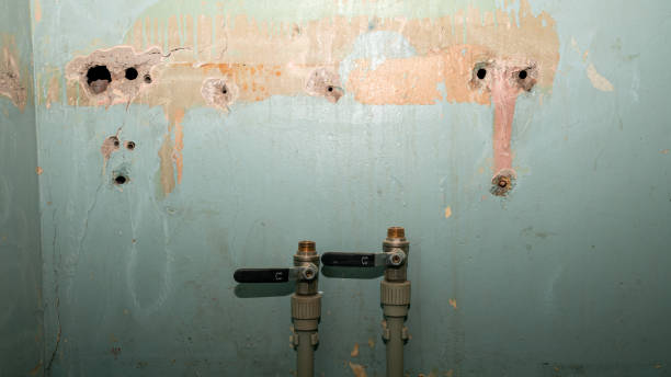 Best Water damage cleanup near me  in Longtown, OK