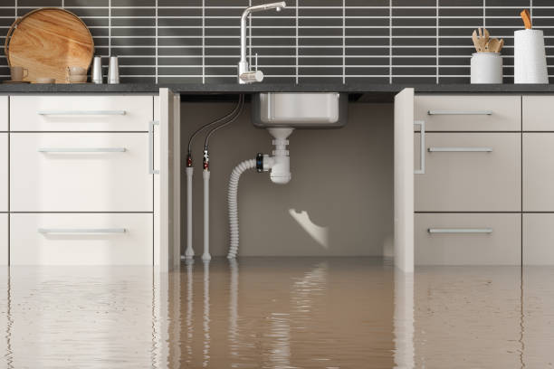 Best Mold removal after water damage  in Longtown, OK