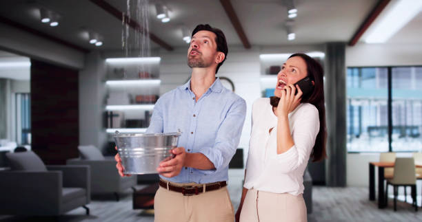 Best Carpet water damage restoration  in Longtown, OK