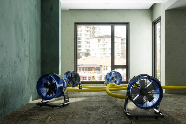 Best Water damage contractors near me  in Longtown, OK