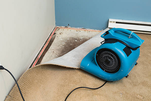 Best Water damage mitigation services  in Longtown, OK
